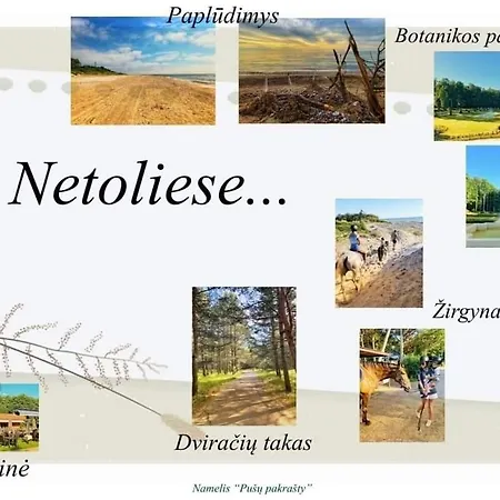 Дом отдыха Namelis Pusu Pakrasty